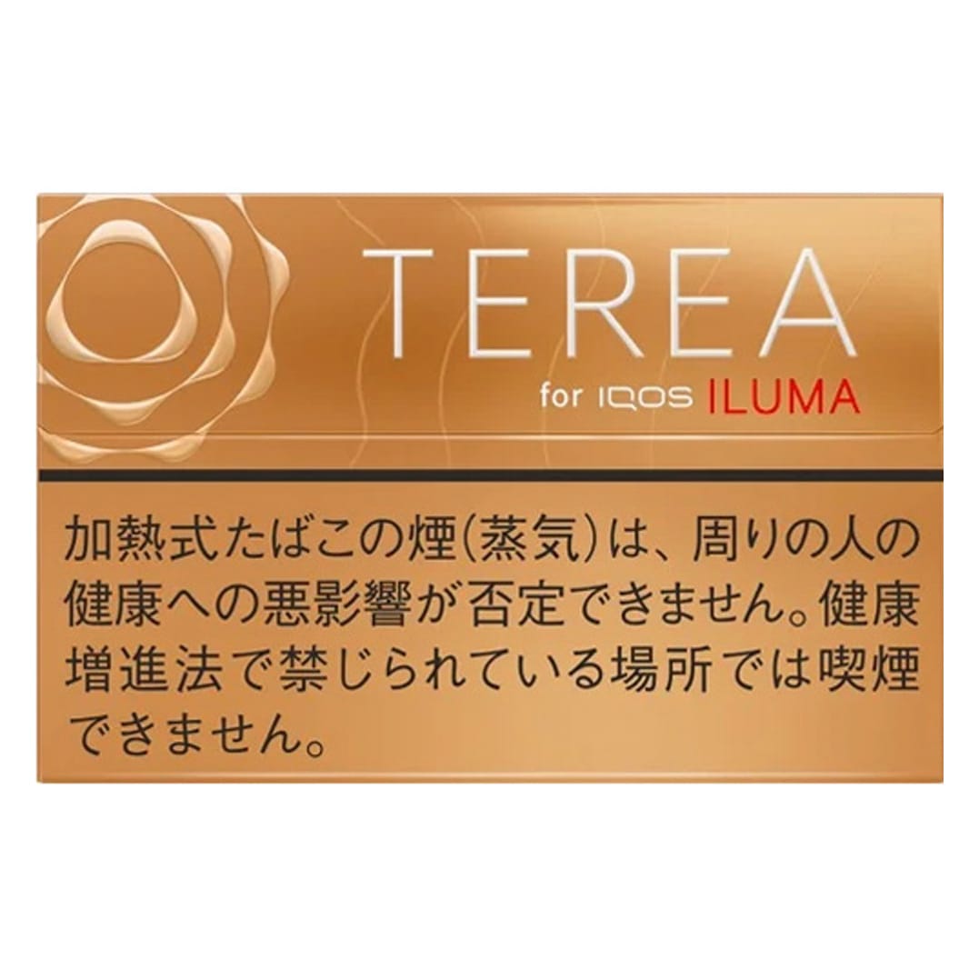 TEREA 榛子檀木(テリア・ウォームレギュラー)